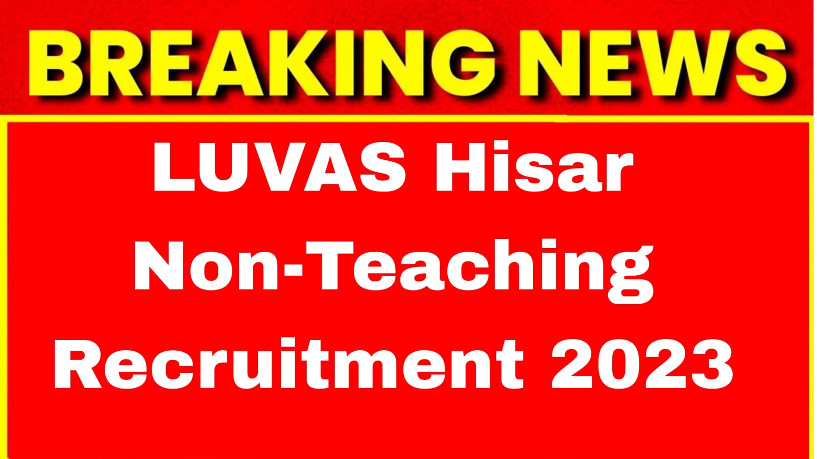 Luvas Hisar Non-Teaching Post Recruitment 2023